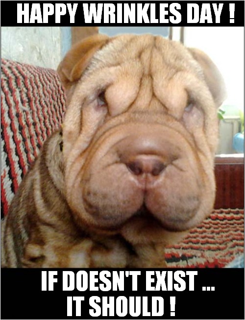 Smile ! | HAPPY WRINKLES DAY ! IF DOESN'T EXIST ...
IT SHOULD ! | image tagged in dogs,sharpei,wrinkles,smile | made w/ Imgflip meme maker