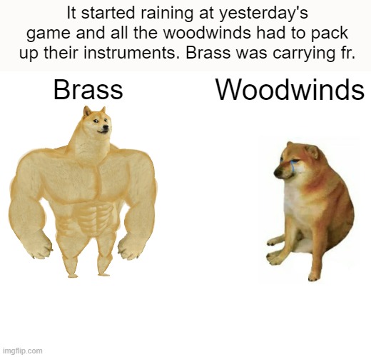 Only for half the game bc it stopped raining | It started raining at yesterday's game and all the woodwinds had to pack up their instruments. Brass was carrying fr. Brass; Woodwinds | image tagged in memes,buff doge vs cheems,marching band | made w/ Imgflip meme maker