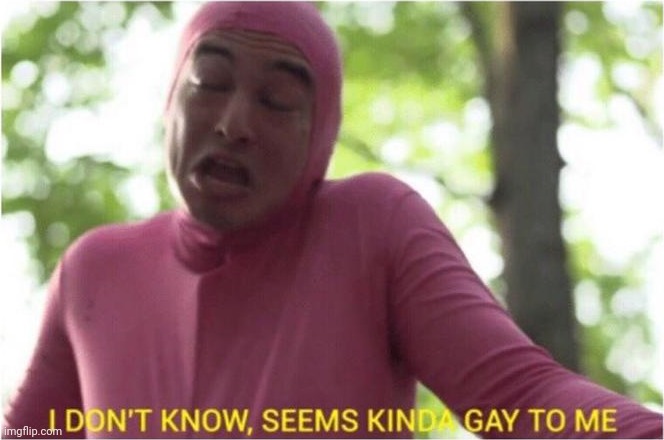 I Don't Know, Seems Kinda Gay To Me | image tagged in i don't know seems kinda gay to me | made w/ Imgflip meme maker