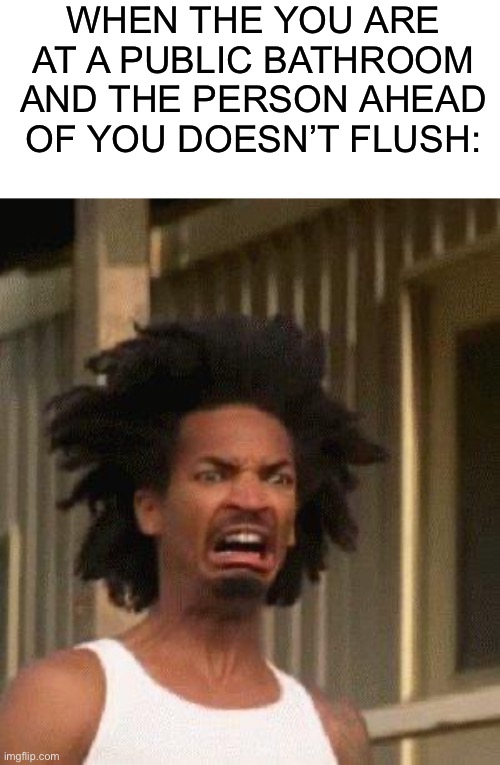 Disgusted Face | WHEN THE YOU ARE AT A PUBLIC BATHROOM AND THE PERSON AHEAD OF YOU DOESN’T FLUSH: | image tagged in disgusted face | made w/ Imgflip meme maker