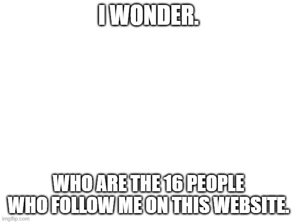 I WONDER. WHO ARE THE 16 PEOPLE WHO FOLLOW ME ON THIS WEBSITE. | made w/ Imgflip meme maker