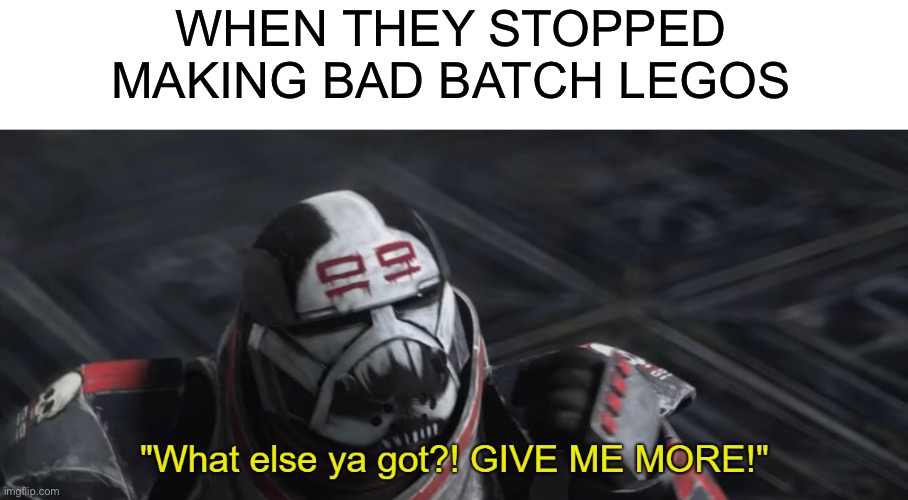 What else ya got?! GIVE ME MORE! | WHEN THEY STOPPED MAKING BAD BATCH LEGOS | image tagged in what else ya got give me more | made w/ Imgflip meme maker