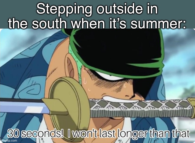 We have black flag like all the time | Stepping outside in the south when it’s summer: | image tagged in 30 seconds i won't last longer | made w/ Imgflip meme maker