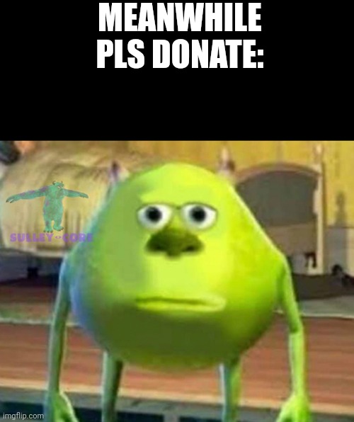 Monsters Inc | MEANWHILE PLS DONATE: | image tagged in monsters inc | made w/ Imgflip meme maker