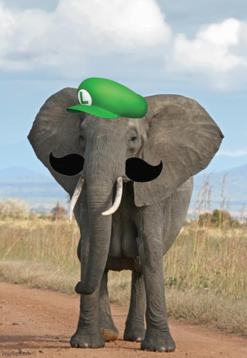 Elephant Luigi.mp3 | image tagged in elephant | made w/ Imgflip meme maker