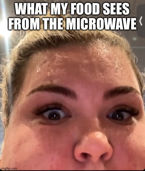 Crazy meme | WHAT MY FOOD SEES FROM THE MICROWAVE | image tagged in crazy meme | made w/ Imgflip meme maker