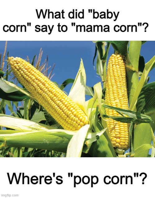 This one is genius XD | What did "baby corn" say to "mama corn"? Where's "pop corn"? | made w/ Imgflip meme maker