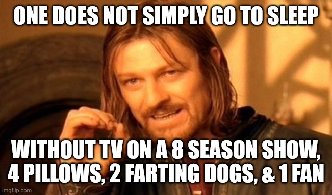 One Does Not Simply Meme | ONE DOES NOT SIMPLY GO TO SLEEP; WITHOUT TV ON A 8 SEASON SHOW, 4 PILLOWS, 2 FARTING DOGS, & 1 FAN | image tagged in memes,one does not simply | made w/ Imgflip meme maker
