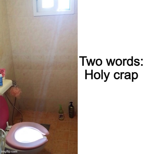 This is probably one of my favorite puns :) | Two words: Holy crap | image tagged in blank white template | made w/ Imgflip meme maker