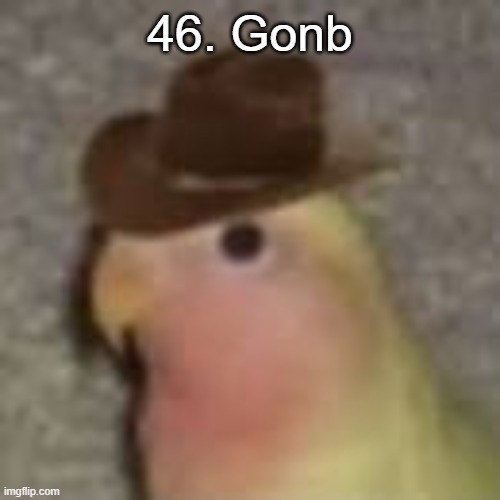 Gonb | 46. Gonb | image tagged in gonb | made w/ Imgflip meme maker