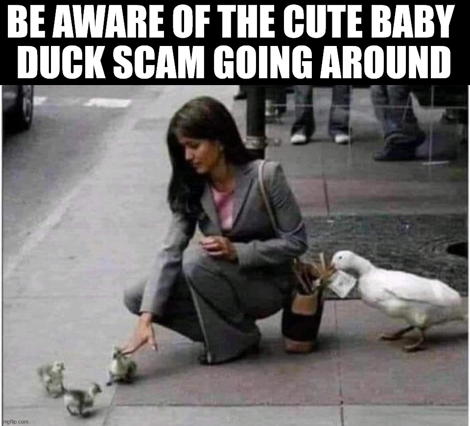 BE AWARE OF THE CUTE BABY 
DUCK SCAM GOING AROUND | made w/ Imgflip meme maker