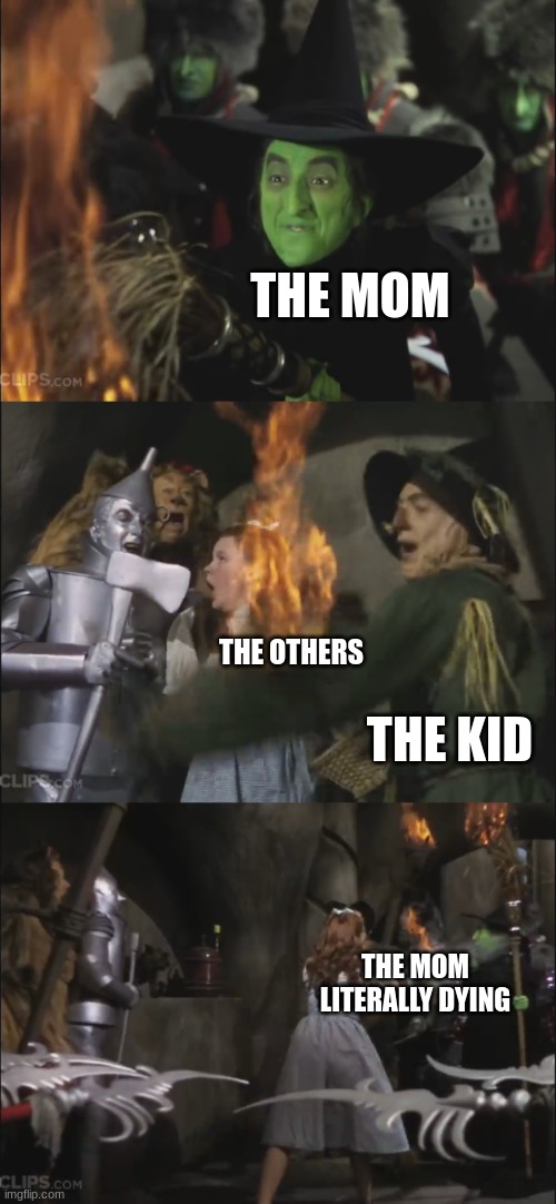 Wicked Witch Gets Killed | THE MOM THE KID THE OTHERS THE MOM LITERALLY DYING | image tagged in wicked witch gets killed | made w/ Imgflip meme maker