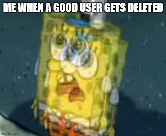 Lol | ME WHEN A GOOD USER GETS DELETED | made w/ Imgflip meme maker