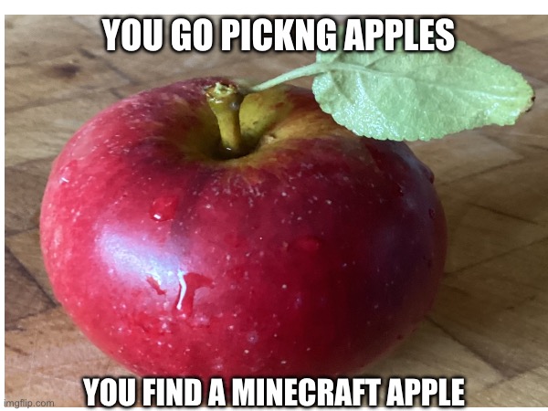 Minecraft apple | YOU GO PICKNG APPLES; YOU FIND A MINECRAFT APPLE | image tagged in minecraft memes | made w/ Imgflip meme maker