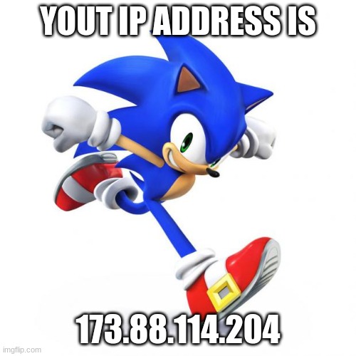 Sonic | YOUT IP ADDRESS IS; 173.88.114.204 | image tagged in sonic | made w/ Imgflip meme maker