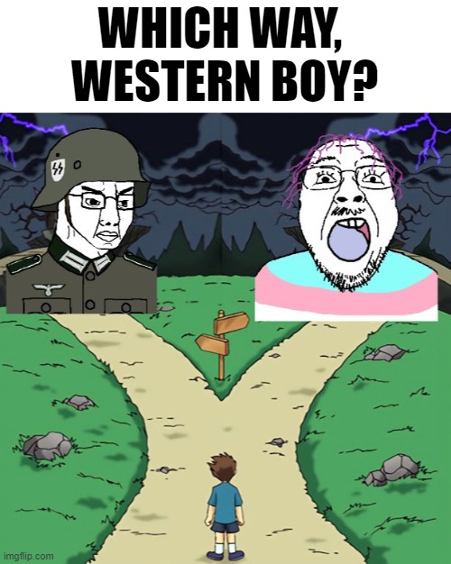 WHICH WAY, 
WESTERN BOY? | image tagged in memes | made w/ Imgflip meme maker