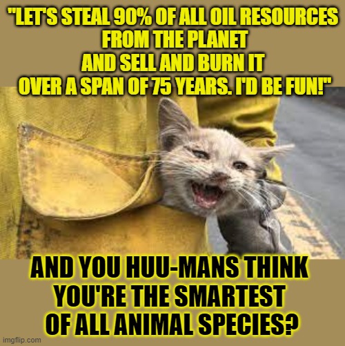 This #lolcat wonders why humans proudly state: 'We really smart! Make money things for destroy own planet. Uh-Huh!' | "LET'S STEAL 90% OF ALL OIL RESOURCES 
FROM THE PLANET
AND SELL AND BURN IT 
OVER A SPAN OF 75 YEARS. I'D BE FUN!"; AND YOU HUU-MANS THINK 
YOU'RE THE SMARTEST 
OF ALL ANIMAL SPECIES? | image tagged in climate change,forest fire,lolcat,big oil,think about it | made w/ Imgflip meme maker