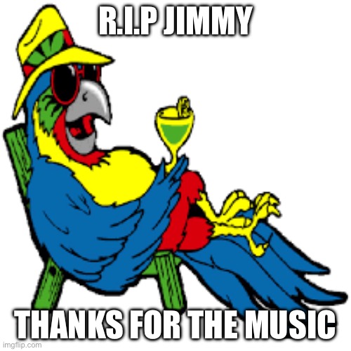 R.I.P. Jimmy Buffet | R.I.P JIMMY; THANKS FOR THE MUSIC | image tagged in parrot | made w/ Imgflip meme maker