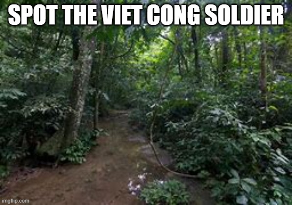 100% IMPOSSIBLE | SPOT THE VIET CONG SOLDIER | image tagged in ok | made w/ Imgflip meme maker
