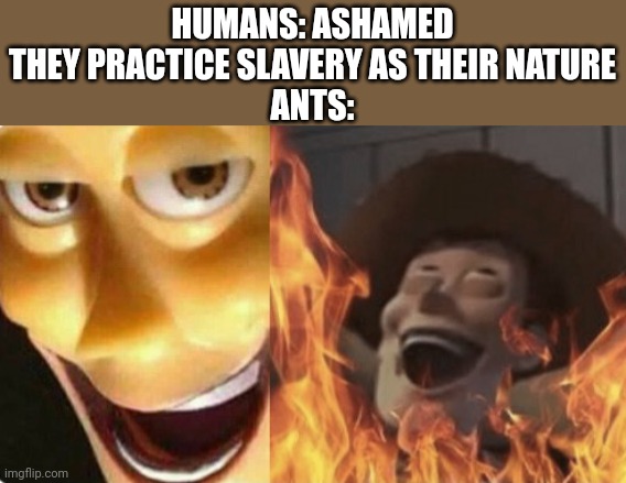 Its true even though I saw in a discord meme | HUMANS: ASHAMED THEY PRACTICE SLAVERY AS THEIR NATURE
ANTS: | image tagged in satanic woody no spacing,memes,funny | made w/ Imgflip meme maker