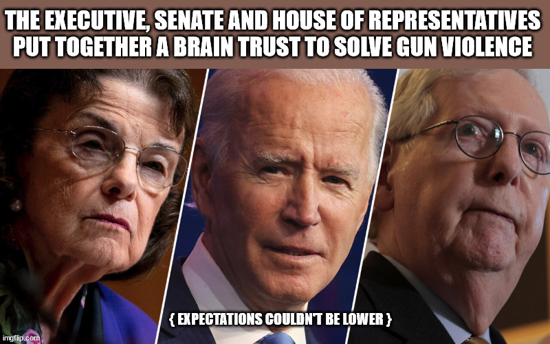 THE EXECUTIVE, SENATE AND HOUSE OF REPRESENTATIVES PUT TOGETHER A BRAIN TRUST TO SOLVE GUN VIOLENCE; { EXPECTATIONS COULDN'T BE LOWER } | image tagged in dementia,biden | made w/ Imgflip meme maker