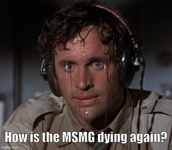 Nervous Face | How is the MSMG dying again? | image tagged in nervous face | made w/ Imgflip meme maker