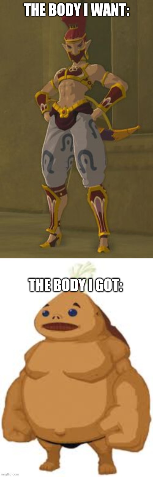 THE BODY I WANT:; THE BODY I GOT: | image tagged in gerudo woman,goron | made w/ Imgflip meme maker