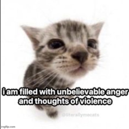 Mood (/j) | made w/ Imgflip meme maker