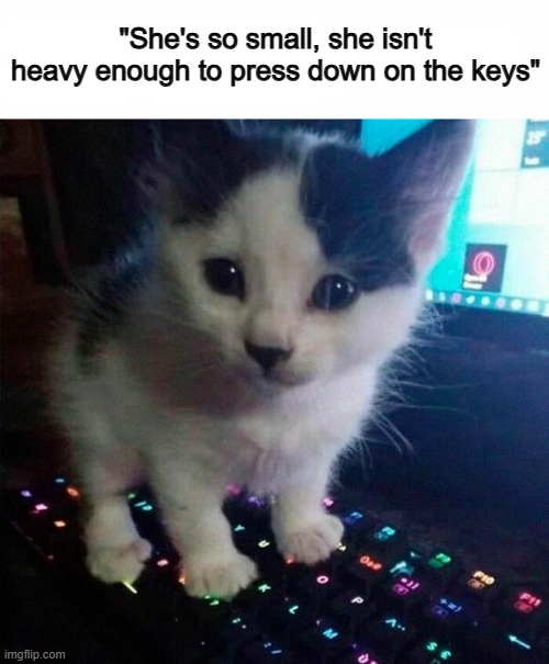 I hope she doesn't get carried away on the wind ;) | "She's so small, she isn't heavy enough to press down on the keys" | image tagged in among us ejected | made w/ Imgflip meme maker