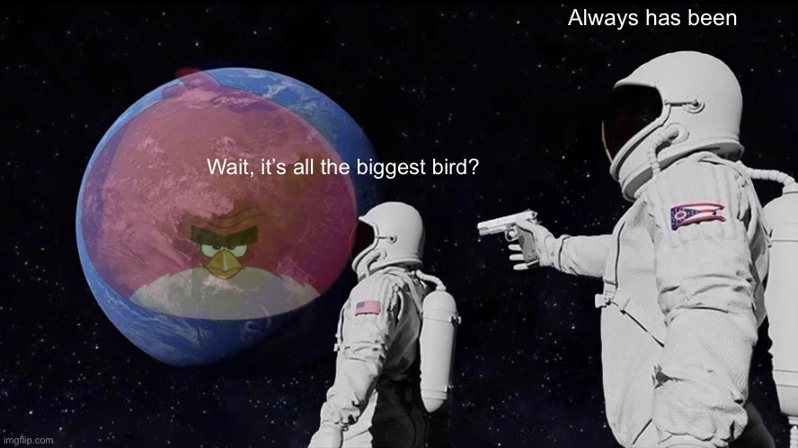 Always Has Been | Always has been; Wait, it’s all the biggest bird? | image tagged in memes,always has been | made w/ Imgflip meme maker