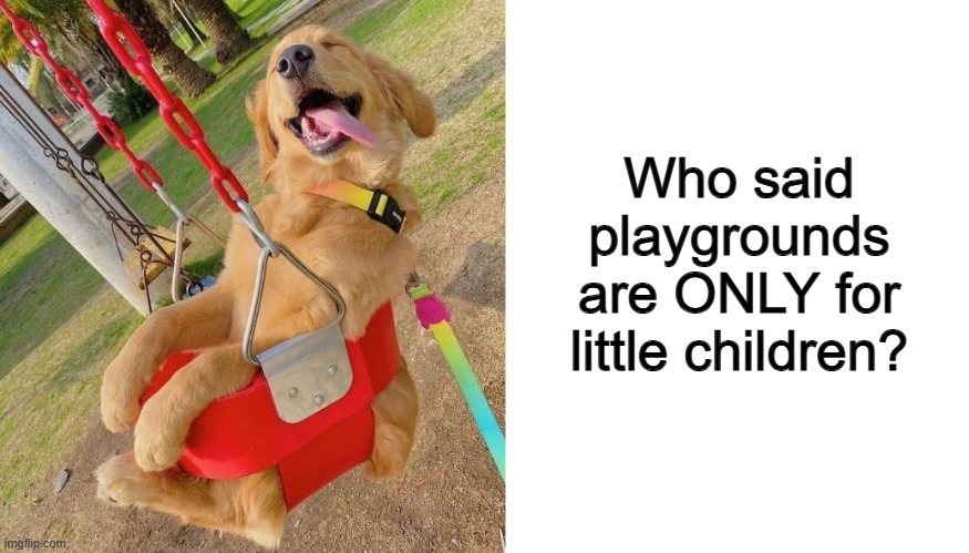 He's surely having a great time ^-^ | Who said playgrounds are ONLY for little children? | image tagged in blank white template | made w/ Imgflip meme maker