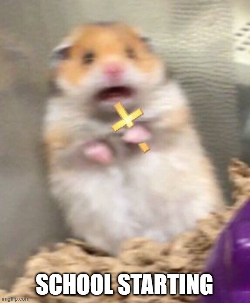 holy hampster | SCHOOL STARTING | image tagged in holy hampster | made w/ Imgflip meme maker