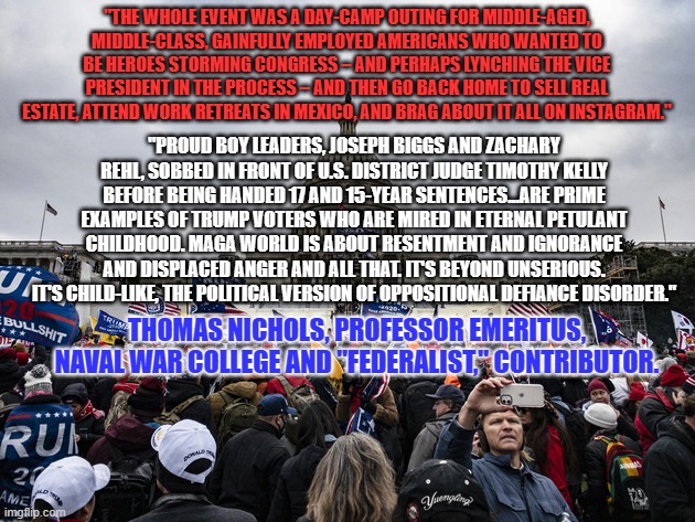 Another Conservative Republican speaks out. | "THE WHOLE EVENT WAS A DAY-CAMP OUTING FOR MIDDLE-AGED, MIDDLE-CLASS, GAINFULLY EMPLOYED AMERICANS WHO WANTED TO BE HEROES STORMING CONGRESS – AND PERHAPS LYNCHING THE VICE PRESIDENT IN THE PROCESS – AND THEN GO BACK HOME TO SELL REAL ESTATE, ATTEND WORK RETREATS IN MEXICO, AND BRAG ABOUT IT ALL ON INSTAGRAM."; "PROUD BOY LEADERS, JOSEPH BIGGS AND ZACHARY REHL, SOBBED IN FRONT OF U.S. DISTRICT JUDGE TIMOTHY KELLY BEFORE BEING HANDED 17 AND 15-YEAR SENTENCES...ARE PRIME EXAMPLES OF TRUMP VOTERS WHO ARE MIRED IN ETERNAL PETULANT CHILDHOOD. MAGA WORLD IS ABOUT RESENTMENT AND IGNORANCE AND DISPLACED ANGER AND ALL THAT. IT'S BEYOND UNSERIOUS. IT'S CHILD-LIKE, THE POLITICAL VERSION OF OPPOSITIONAL DEFIANCE DISORDER."; THOMAS NICHOLS, PROFESSOR EMERITUS, NAVAL WAR COLLEGE AND "FEDERALIST," CONTRIBUTOR. | image tagged in politics | made w/ Imgflip meme maker