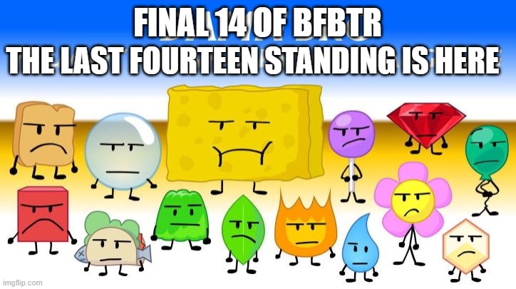 Final fourteen looking different | THE LAST FOURTEEN STANDING IS HERE; FINAL 14 OF BFBTR | image tagged in final fourteen looking different | made w/ Imgflip meme maker