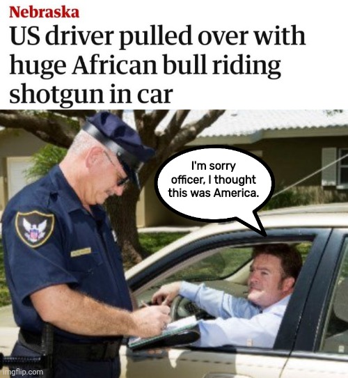 I thought this was America. | I'm sorry officer, I thought this was America. | image tagged in memes | made w/ Imgflip meme maker