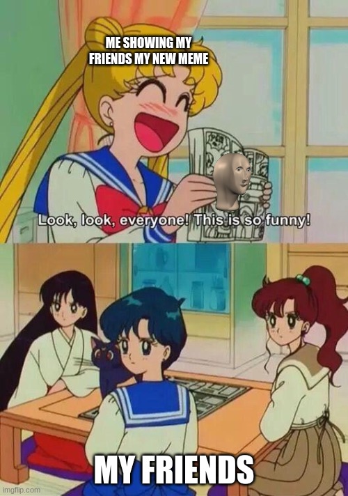 so funny sailor moon | ME SHOWING MY FRIENDS MY NEW MEME; MY FRIENDS | image tagged in so funny sailor moon | made w/ Imgflip meme maker