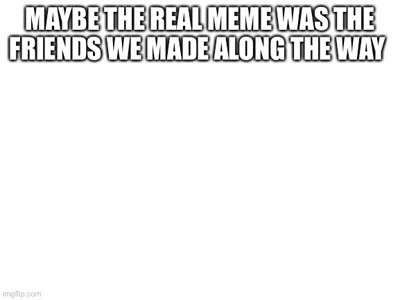 Blank White Template | MAYBE THE REAL MEME WAS THE FRIENDS WE MADE ALONG THE WAY | image tagged in blank white template | made w/ Imgflip meme maker