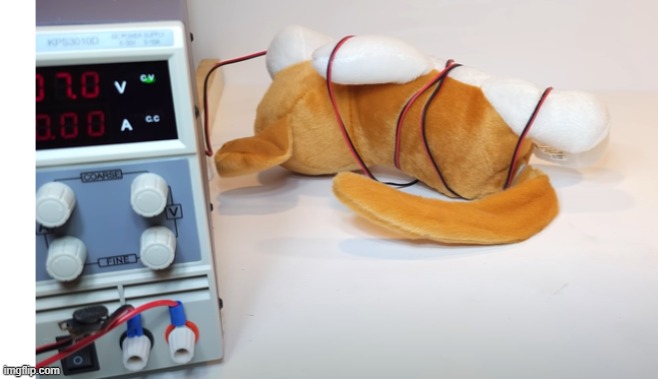 Okay, wtf happened here | made w/ Imgflip meme maker