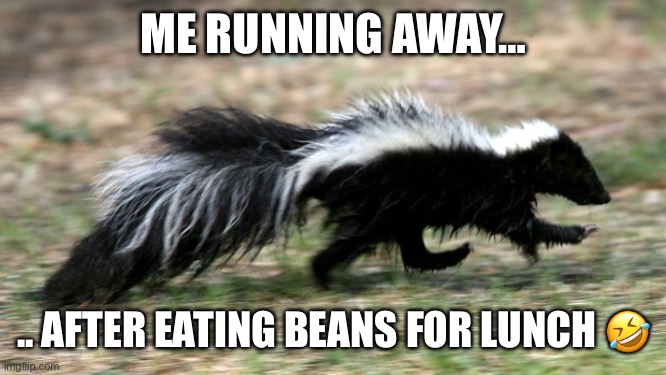 skunk | ME RUNNING AWAY…; .. AFTER EATING BEANS FOR LUNCH 🤣 | image tagged in skunk | made w/ Imgflip meme maker