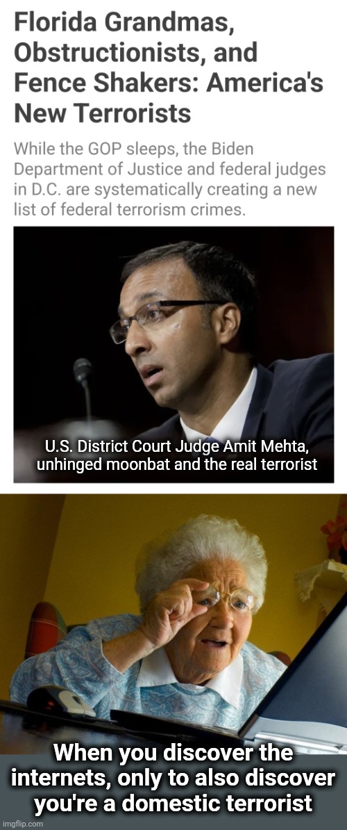 ANYONE and EVERYONE in DC on January 6, who they decide they don't like, is a DOMESTIC TERRORIST!!! | U.S. District Court Judge Amit Mehta, unhinged moonbat and the real terrorist; When you discover the internets, only to also discover you're a domestic terrorist | image tagged in memes,grandma finds the internet,democrats,january 6,tyranny,terrorist | made w/ Imgflip meme maker