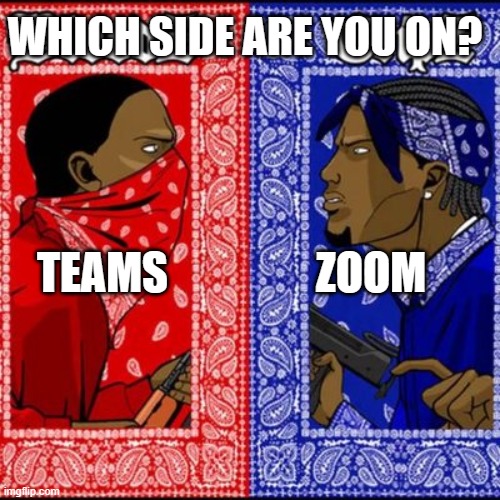 Which side are you on? | WHICH SIDE ARE YOU ON? ZOOM; TEAMS | image tagged in gang war meme,zoom,teams,conference,videocall | made w/ Imgflip meme maker