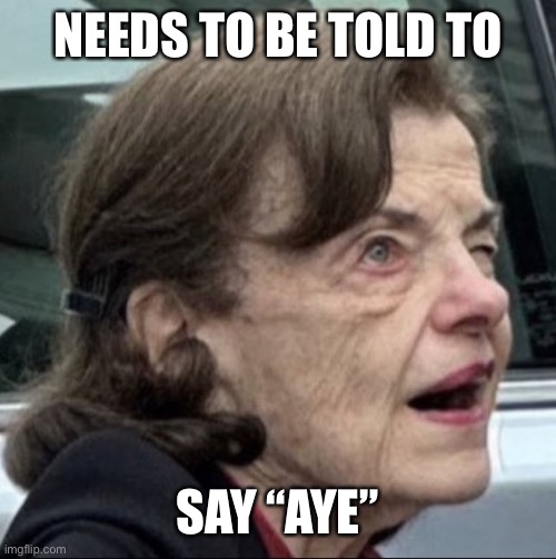 Dianne feinstein | NEEDS TO BE TOLD TO SAY “AYE” | image tagged in dianne feinstein | made w/ Imgflip meme maker