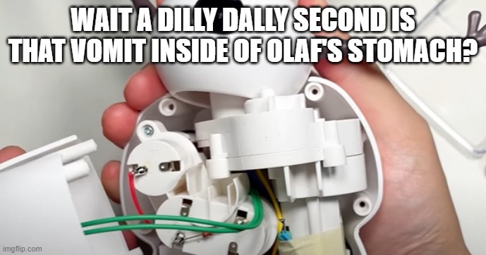 what the | WAIT A DILLY DALLY SECOND IS THAT VOMIT INSIDE OF OLAF'S STOMACH? | made w/ Imgflip meme maker