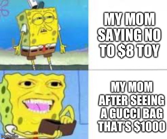 Moms | MY MOM SAYING NO TO $8 TOY; MY MOM AFTER SEEING A GUCCI BAG THAT’S $1000 | image tagged in fun | made w/ Imgflip meme maker