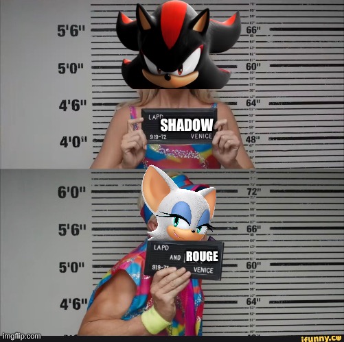 They give off these vibes imo | SHADOW; ROUGE | image tagged in barbie jail | made w/ Imgflip meme maker