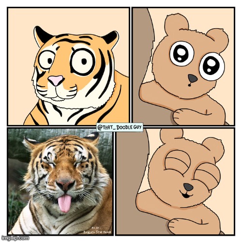 image tagged in tiger,bear,funny face | made w/ Imgflip meme maker