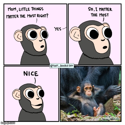 image tagged in monkey,little,things,matter | made w/ Imgflip meme maker