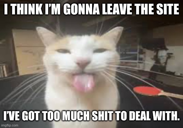 Cat | I THINK I’M GONNA LEAVE THE SITE; I’VE GOT TOO MUCH SHIT TO DEAL WITH. | image tagged in cat | made w/ Imgflip meme maker