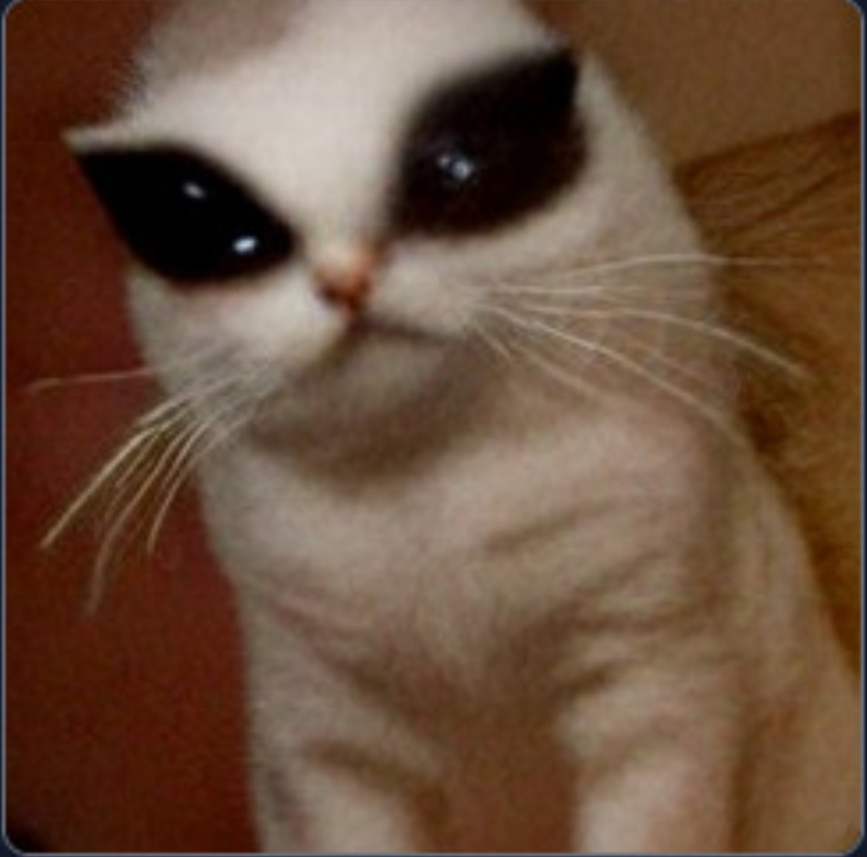 Alien Cat Blank Meme Template