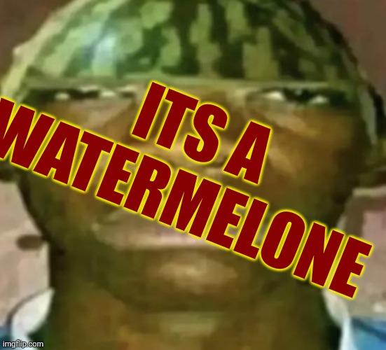 Watermelon Hat | ITS A WATERMELONE | image tagged in watermelon hat | made w/ Imgflip meme maker